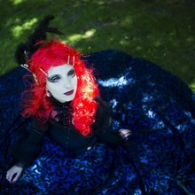 ��������� � ������� ��������� Wave-Gotik Treffen 2014