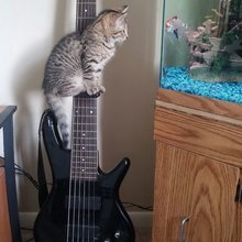 �������� ��������