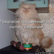 ������ ����������� �� ������