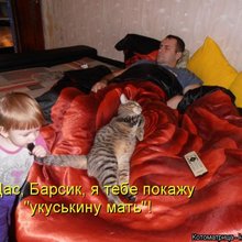 ������ ����������� �� ������