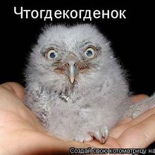 ������ ����������� �� ������