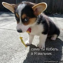 ������ ����������� �� ������