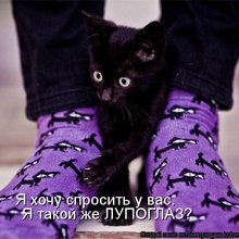 ������ ����������� �� ������