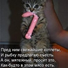 ������ ����������� �� ������