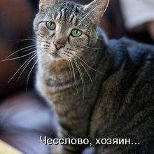 ������ ����������� �� ������