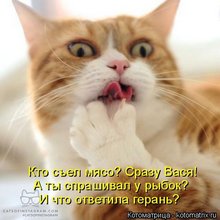 ������ ����������� �� ������