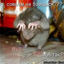 ������ ����������� �� ������
