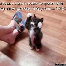 ������ ����������� �� ������
