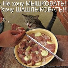 ������ ����������� �� ������