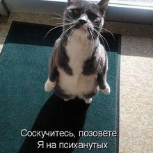 ������ ����������� �� ������
