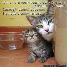 ������ ����������� �� ������
