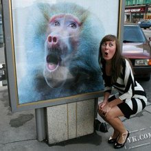 ����������� �� ����