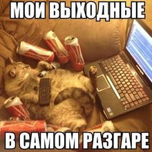 ������� �������� � ���������