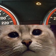 �������� ������������� ��������