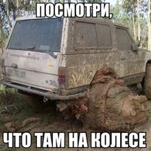 �������� ������������� ��������