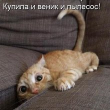 ������ ����������� �� ������