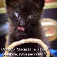 ������ ����������� �� ������