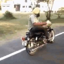funny gifs