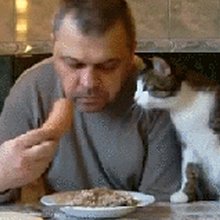 funny gifs