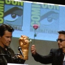 funny gifs