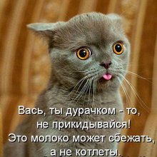 ������ ����������� �� ������