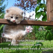 ������ ����������� �� ������