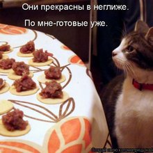 ������ ����������� �� ������