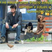������ ����������� �� ������