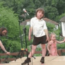 funny animals