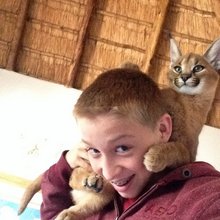 funny animals