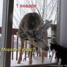 ������ ����������� �� ������
