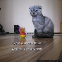 ������ ����������� �� ������