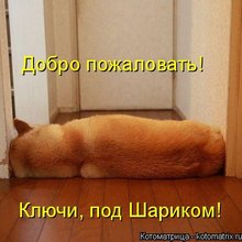 ������ ����������� �� ������