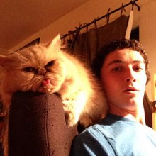 funny animals
