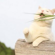 �����