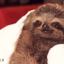 �����