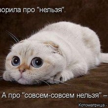 ������ ����������� �� ������
