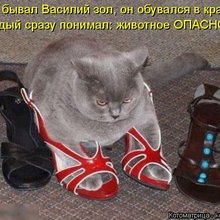 ������ ����������� �� ������