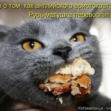 ������ ����������� �� ������