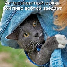 ������ ����������� �� ������
