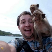 funny animals