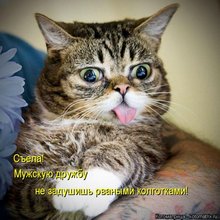 ������ ����������� �� ������