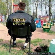 ������ ����������� �� ������