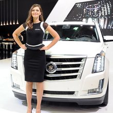 ������� � ����������� ���������� 2014