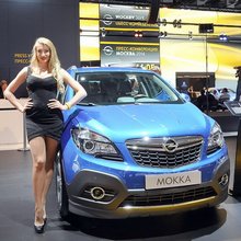 ������� � ����������� ���������� 2014