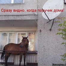������ ����������� �� ������