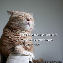 ������ ����������� �� ������