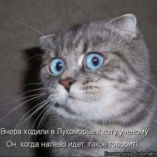 ������ ����������� �� ������