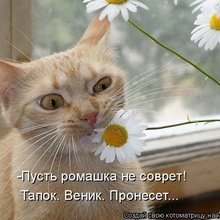 ������ ����������� �� ������