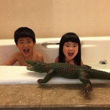 �������, ���������� � �������� ����